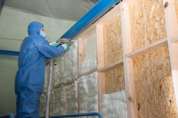 Professional Insulation Contractor in Matoaca, VA